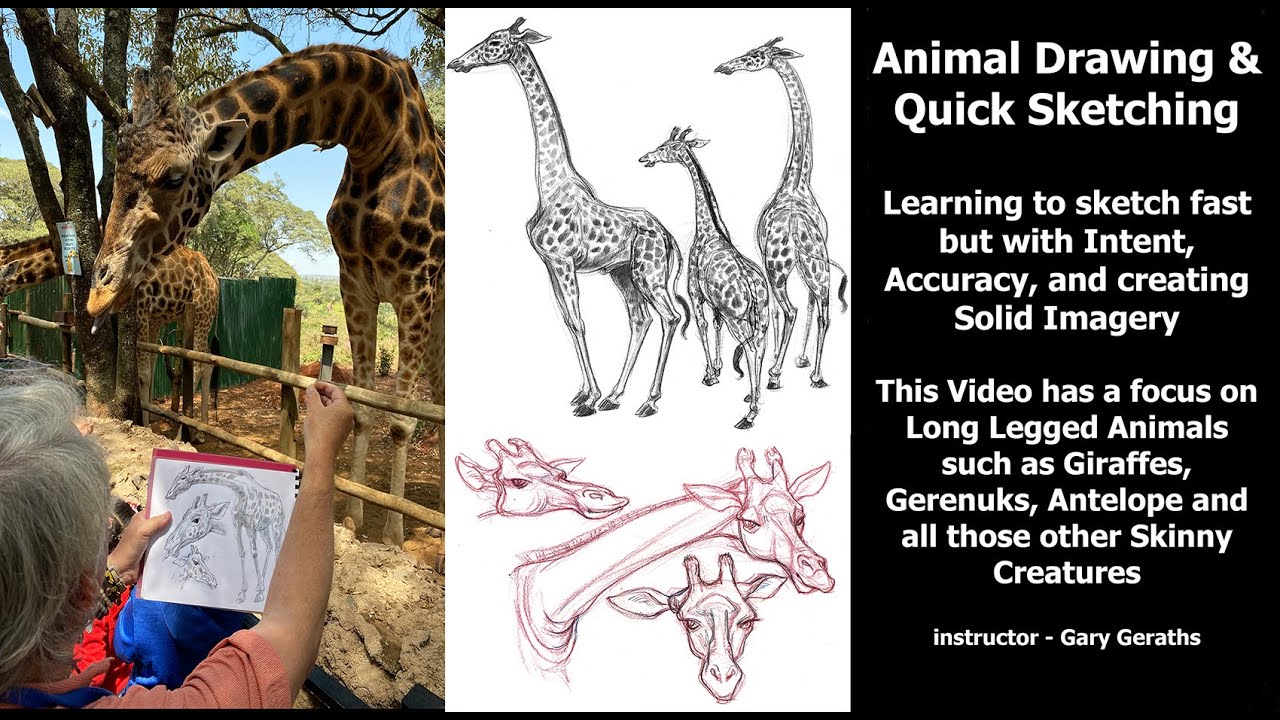 ANIMAL DRAWING & QUICK SKETCHING - Beginning Lessons in Gesture, Structure & Anatomy - Gary Geraths