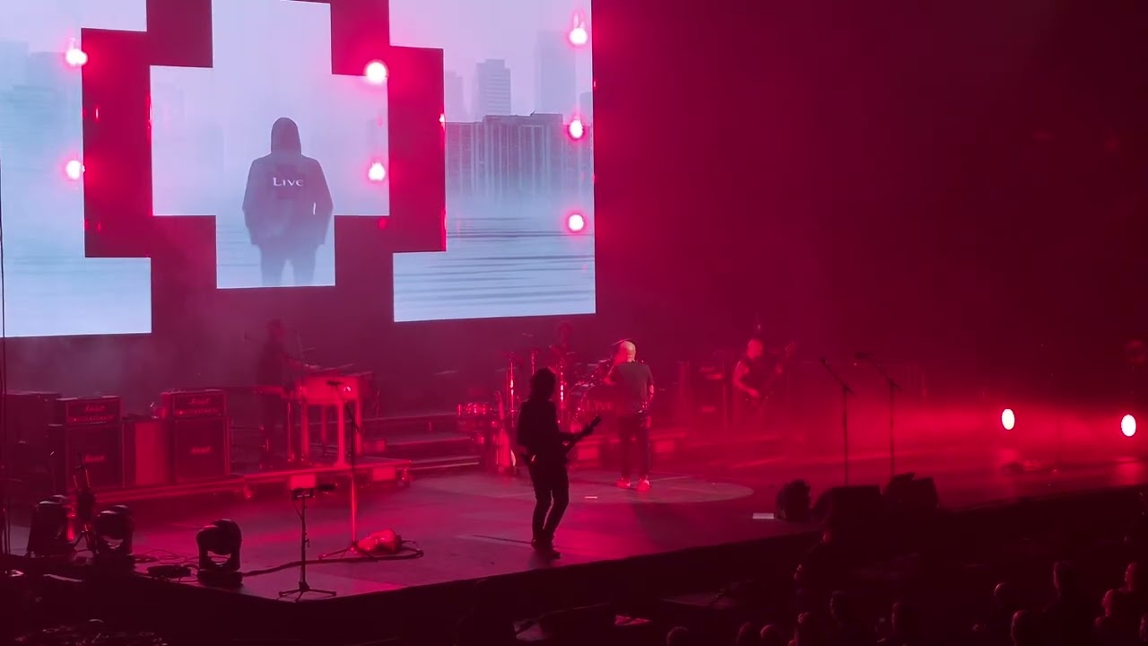 Dolphin's cry, Live, Place Bell, 10 Mars 26'