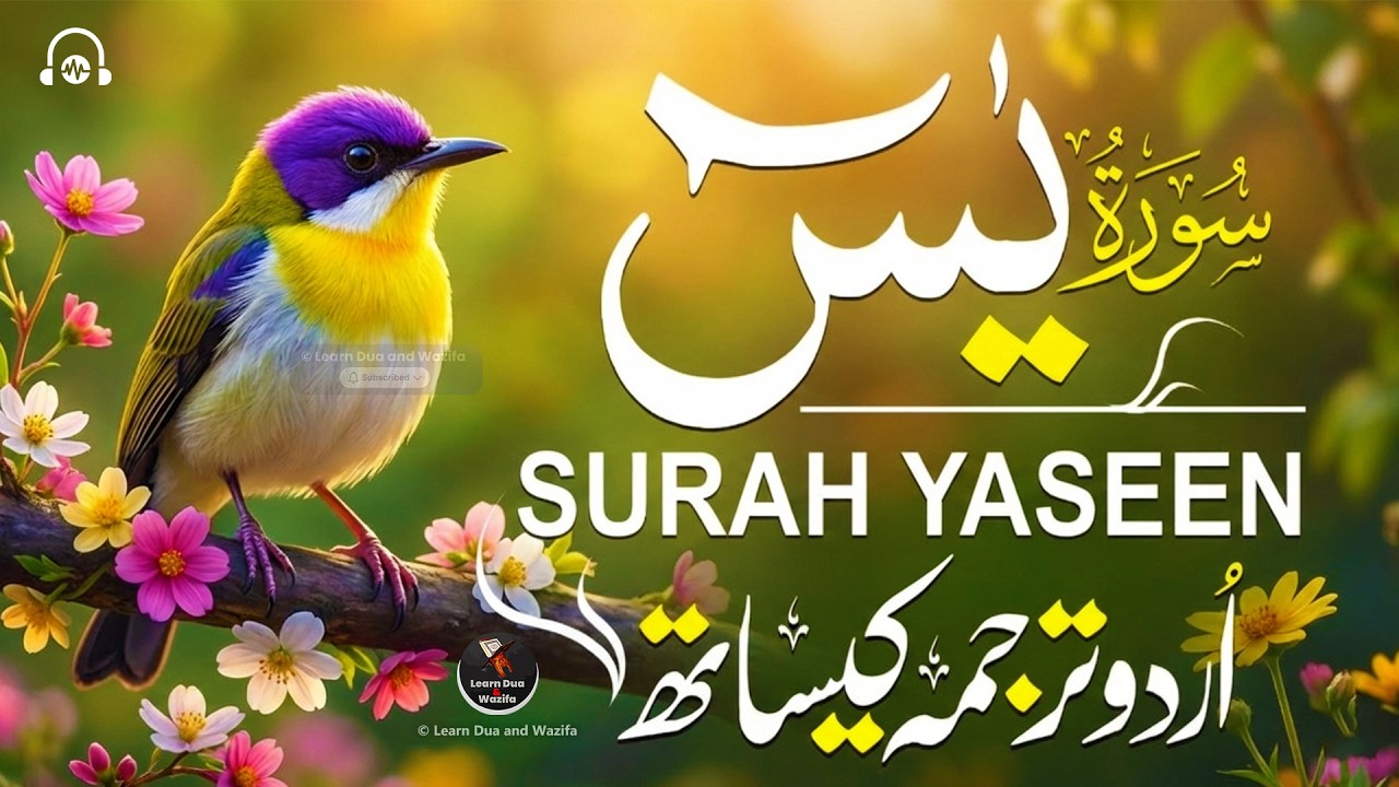 Surah Yaseen | Most Beautiful Quran Recitation for Peace & Healing | سورة يس | #SurahYaseen