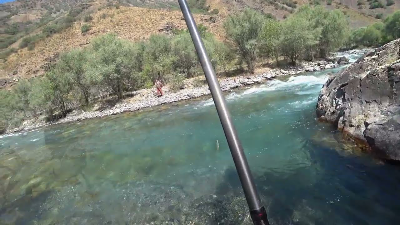 Рыбалка на форель в Узбекистане (КОКСУ)
