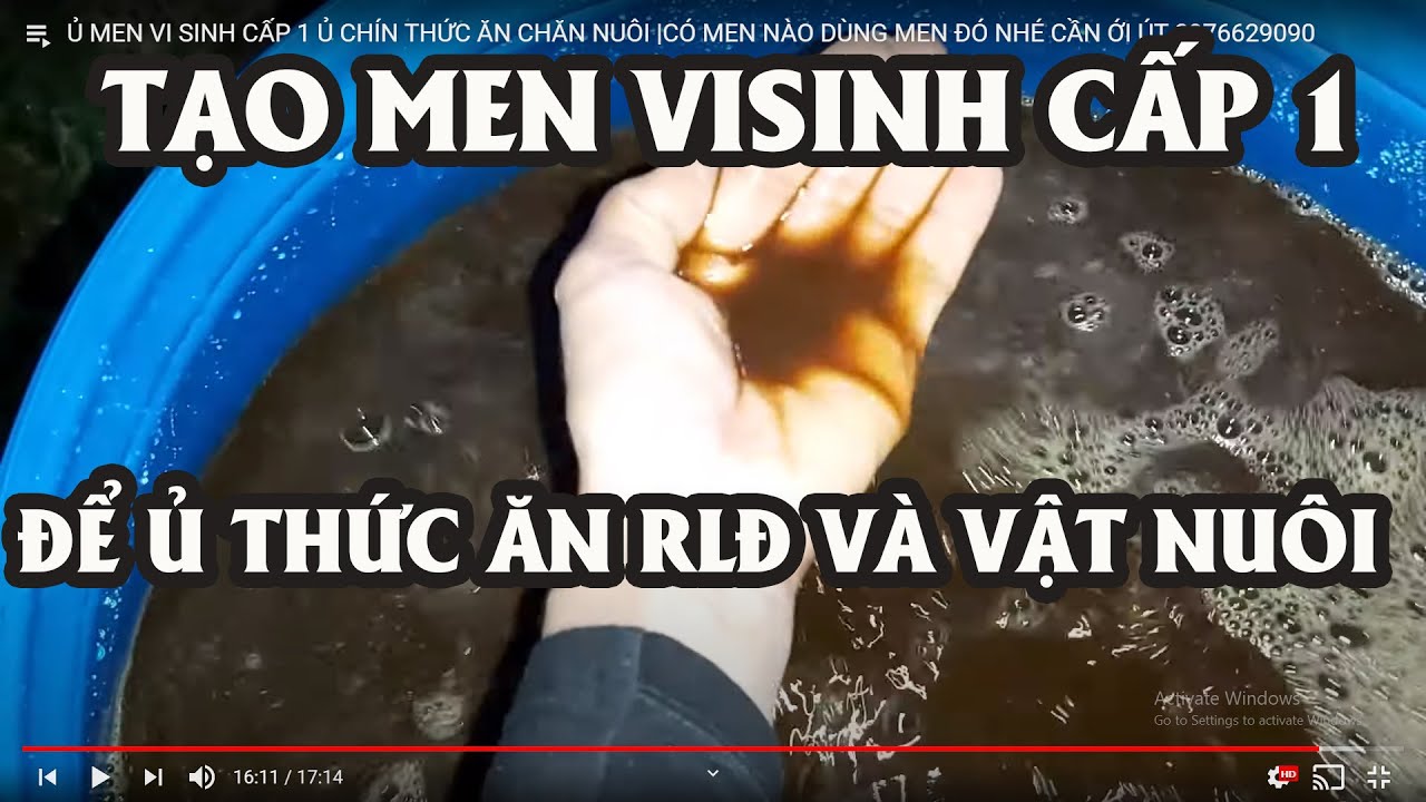 Ủ MEN VI SINH CẤP 1 Ủ CHÍN THỨC ĂN CHĂN NUÔI |CÓ MEN NÀO DÙNG MEN ĐÓ NHÉ CẦN ỚI ÚT 0976629090