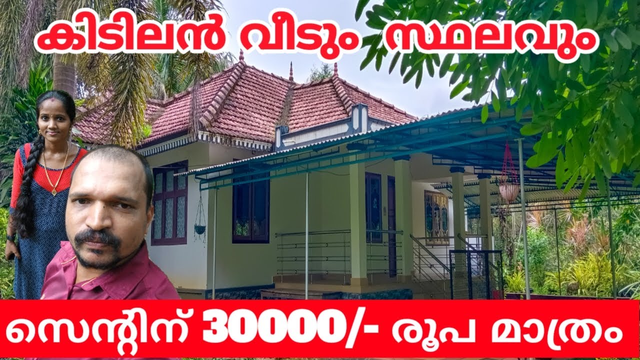 കിടിലൻ വീടും സ്ഥലവും സെൻറിനു 30000/- മാത്രം | #kerala #hometour #trending #realestate #new #forsale