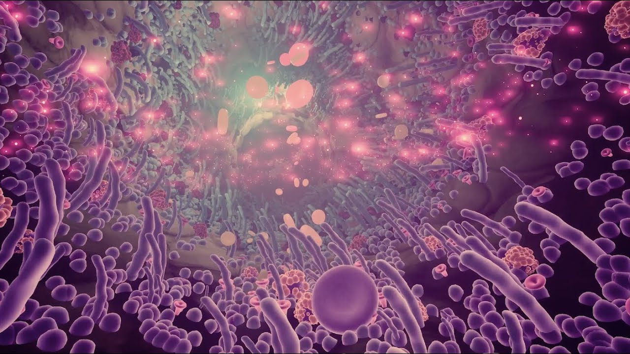STS9: Rave Spell 2019 (w/ Microdose VR Visuals)