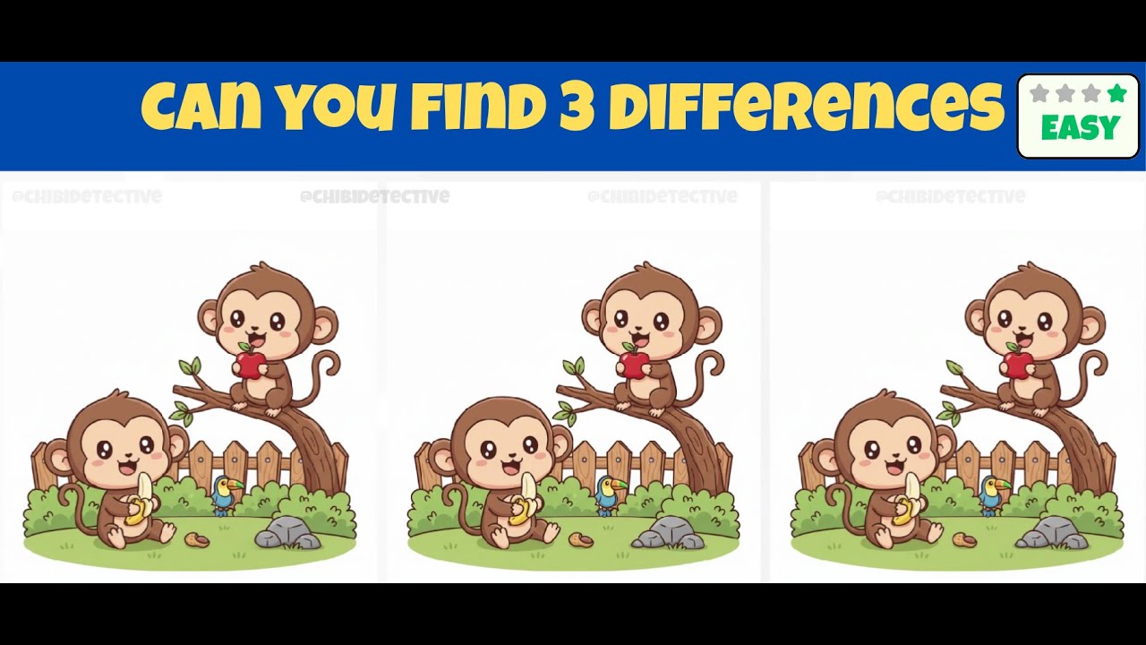 Spot 3 Differences | Brain Exercises  0022