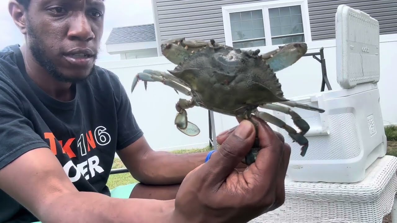AWESOME DAY CRABBING IN WILDWOOD NEW JERSEY!! CAUGHT 20 CRABS!!