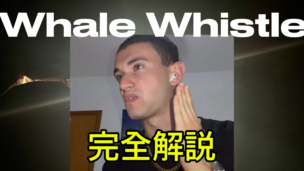 【完全解説】Whale Whistleのやり方を解説します