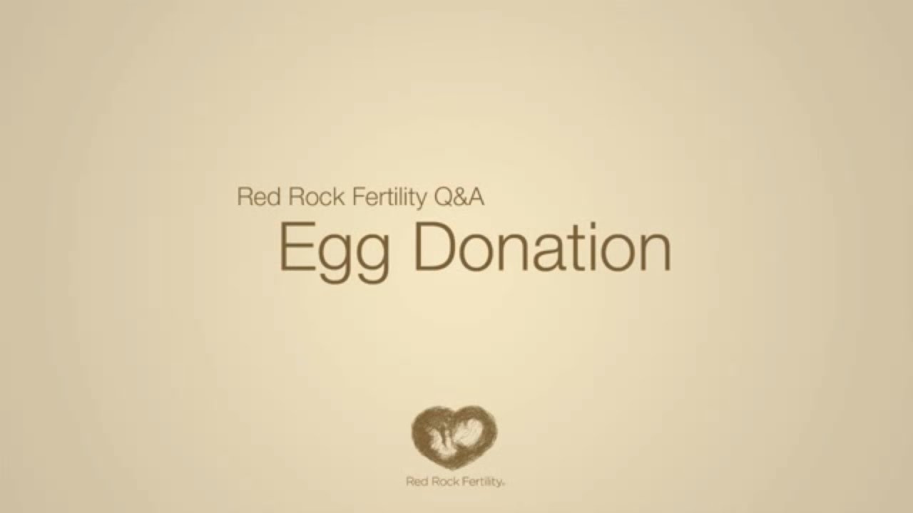 Get Help Finding an Egg Donor to Have a Child