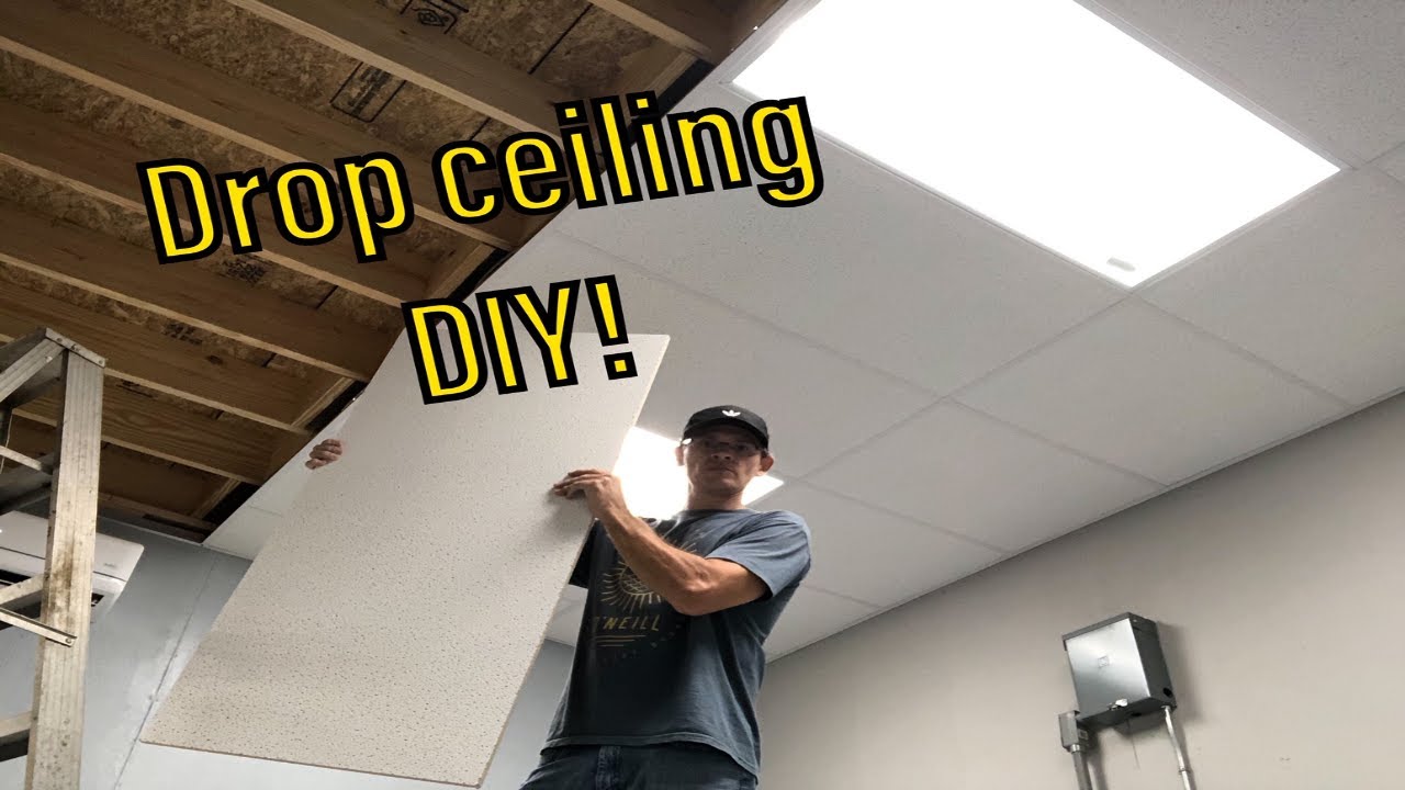 $275 dollar DIY drop ceiling + More shop updates!