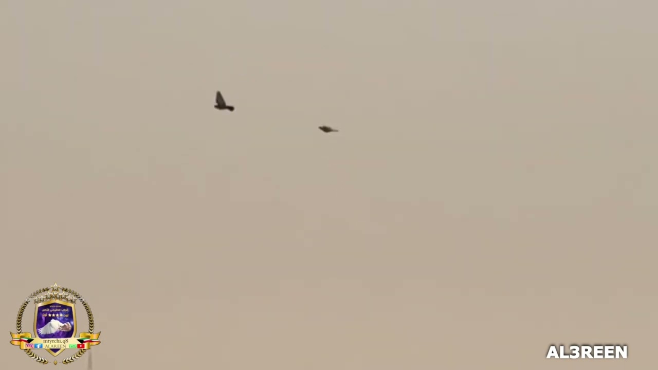 حمام لوت (الحمر طير محمد الحداد )2022.