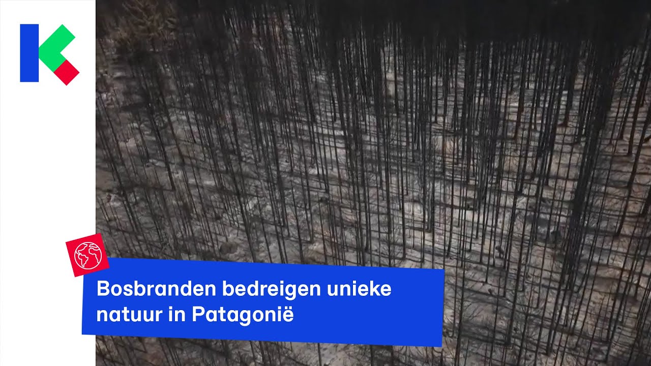 Bosbranden bedreigen unieke natuur in Patagonië