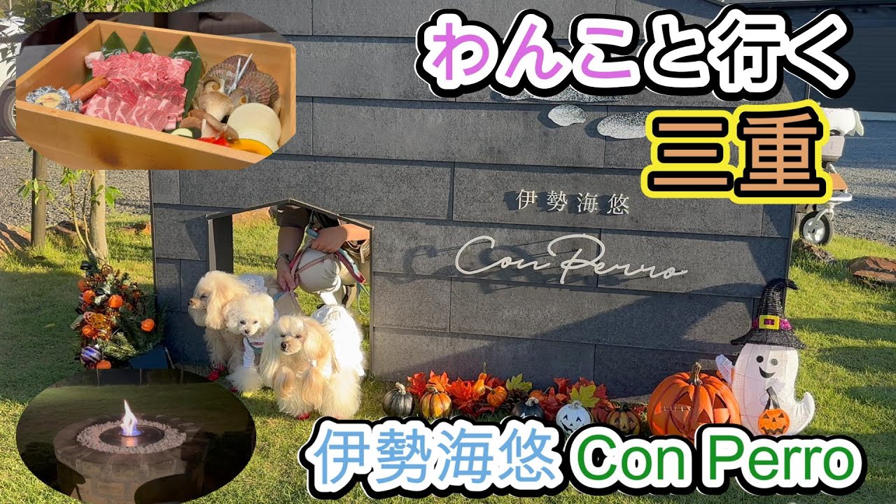 わんこと行く三重 伊勢海悠ConPerro