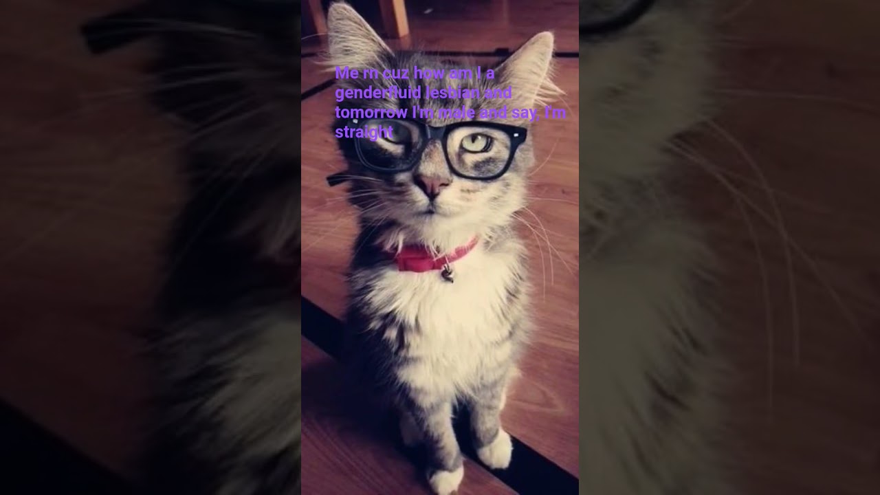 like what 💔 #dandysworld #rant #furry #therian #cats #cat #genderfluid #lesbian #LBGTQIA