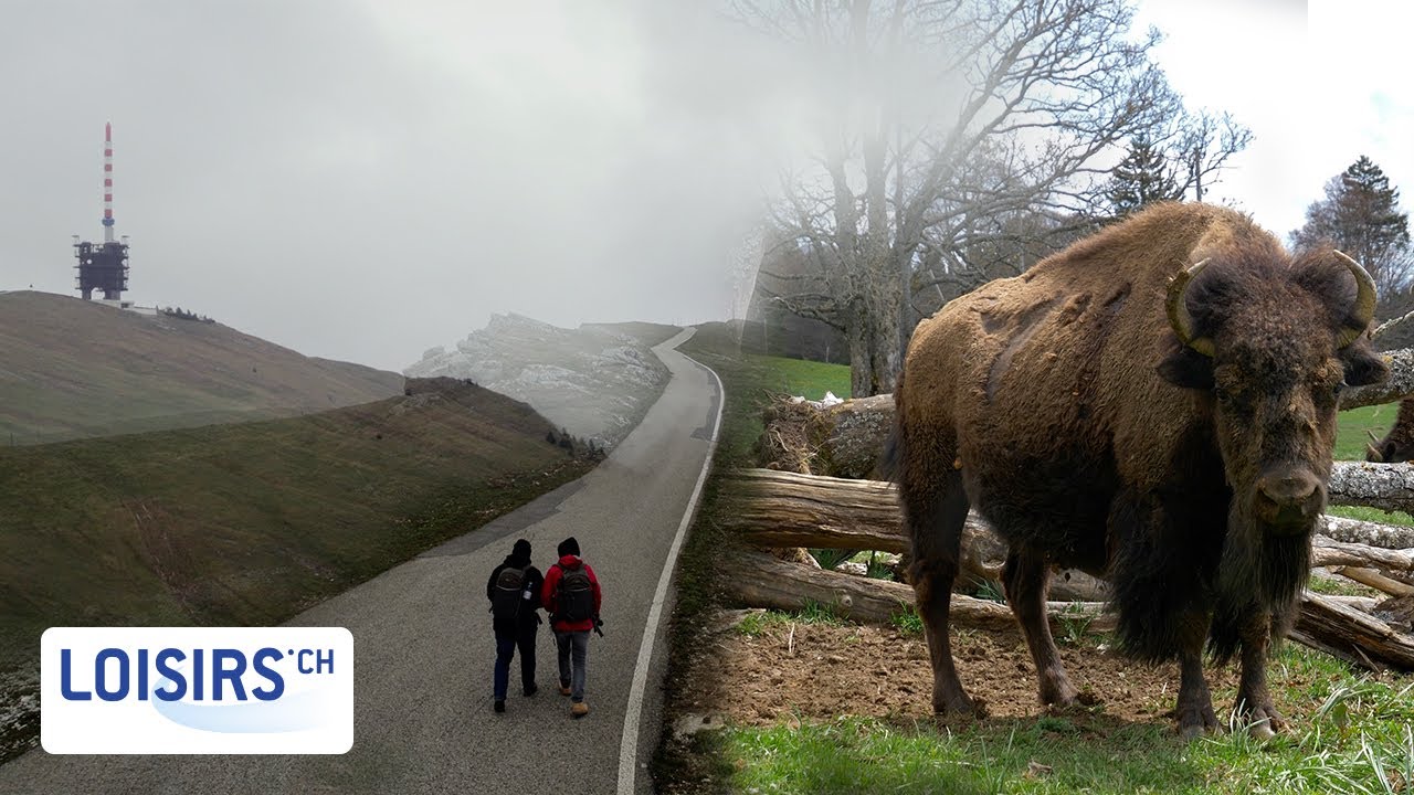 Le Chasseral -  L'un des plus hauts sommets du Jura