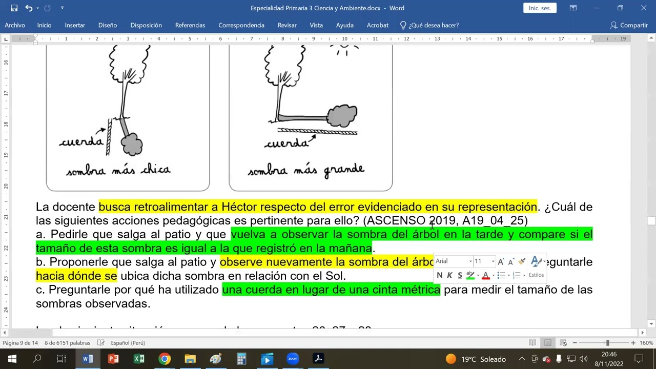 R&uacute;bricas, formulaci&oacute;n de hip&oacute;tesis y variables de investigaci&oacute;n en Ciencia y Ambiente - Primaria