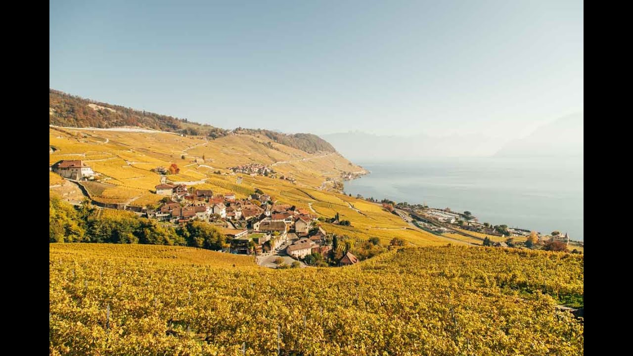 This is Montreux Riviera (full)