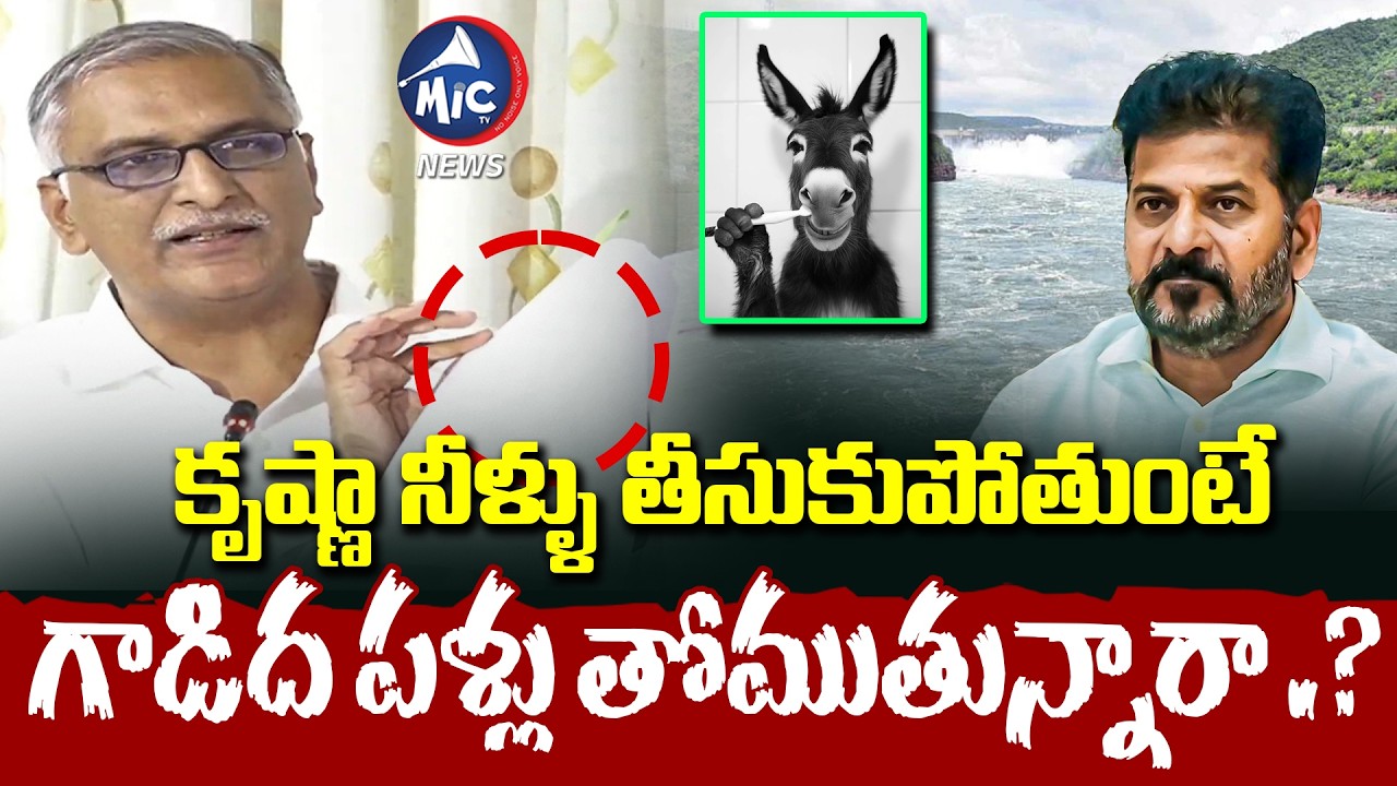 గాడిద పళ్లు తోముతున్నారా .? | Harish Rao Slams CM Revanth Over Banakacherla issue | Mic Tv news