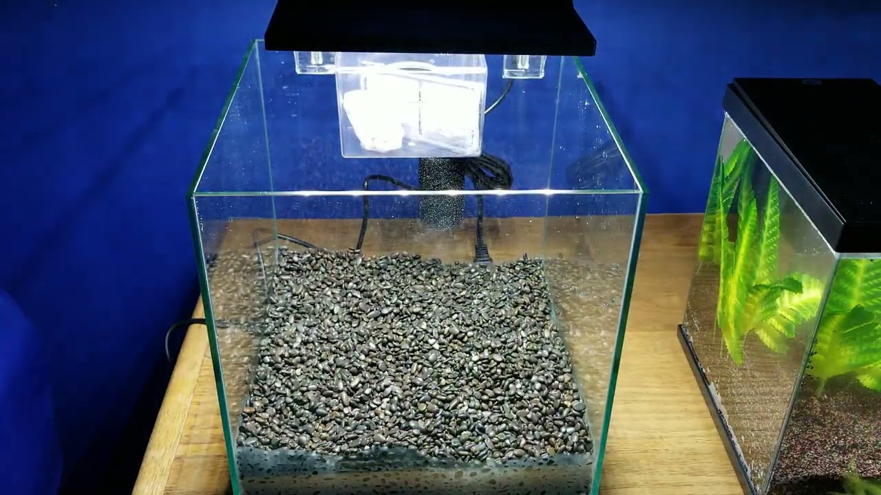 Top Fin Shrimp And Plant Oasis Aquarium Setup