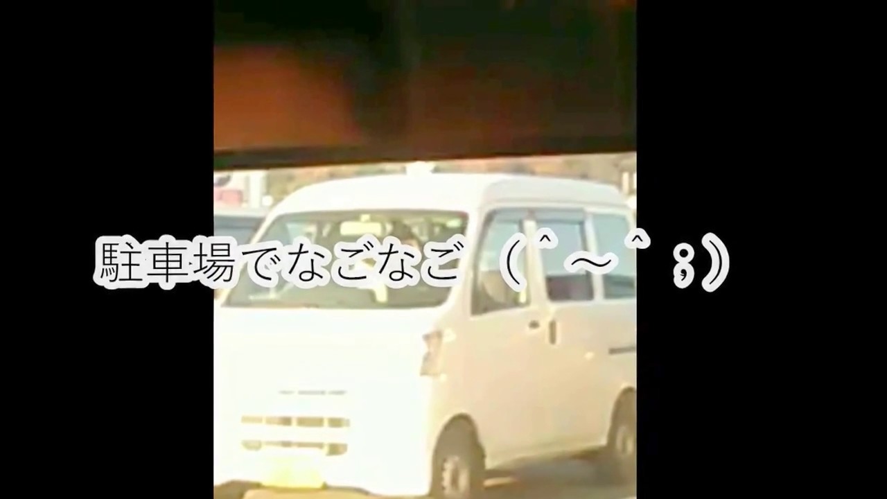 ワンちゃんドライバー 　　Dog driver