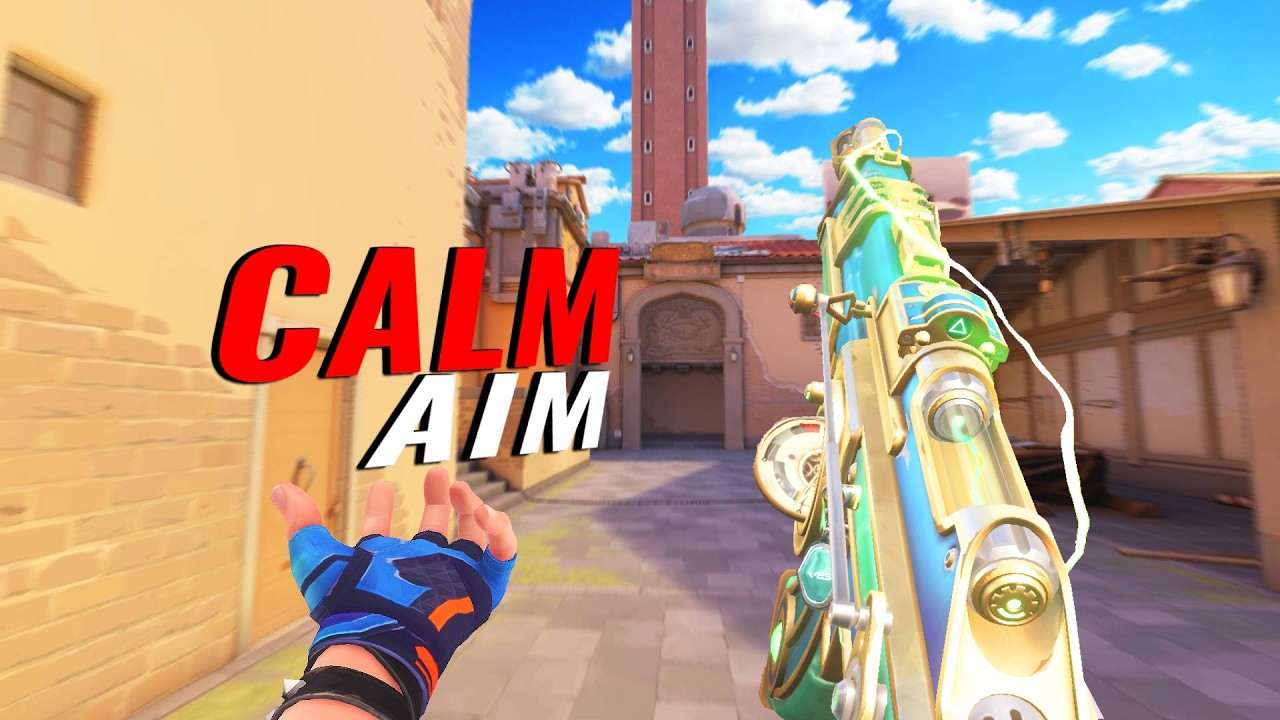 Calm Aim + 0.3  800 DPI = AIMLOCK