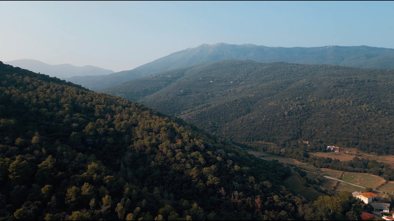 QUI SOM I D'ON VENIM?  LA VALL DE SANTA MARGARIDA - SANT ESTEVE DE PALAUTORDERA