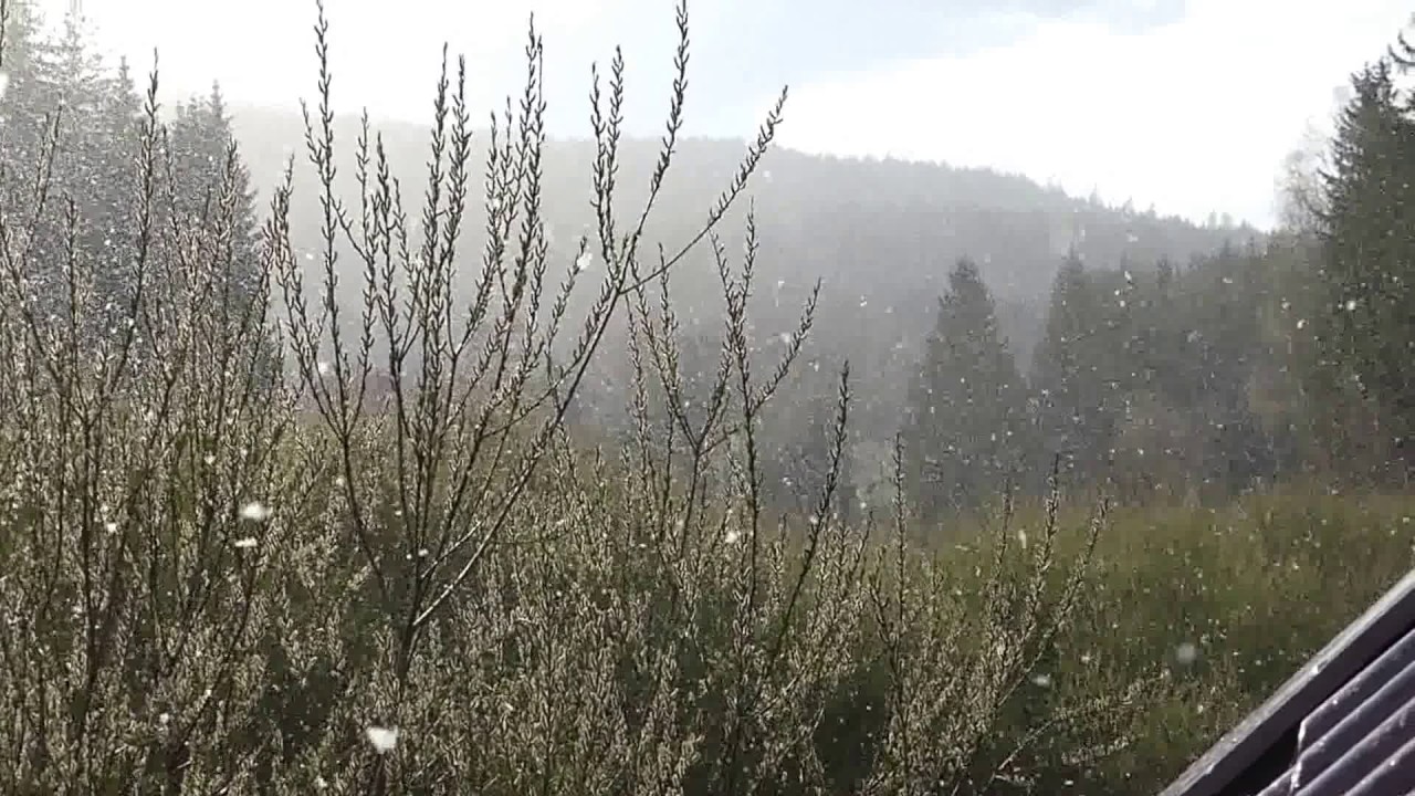 OSMELAKOWA DOLINA 16-04-2017