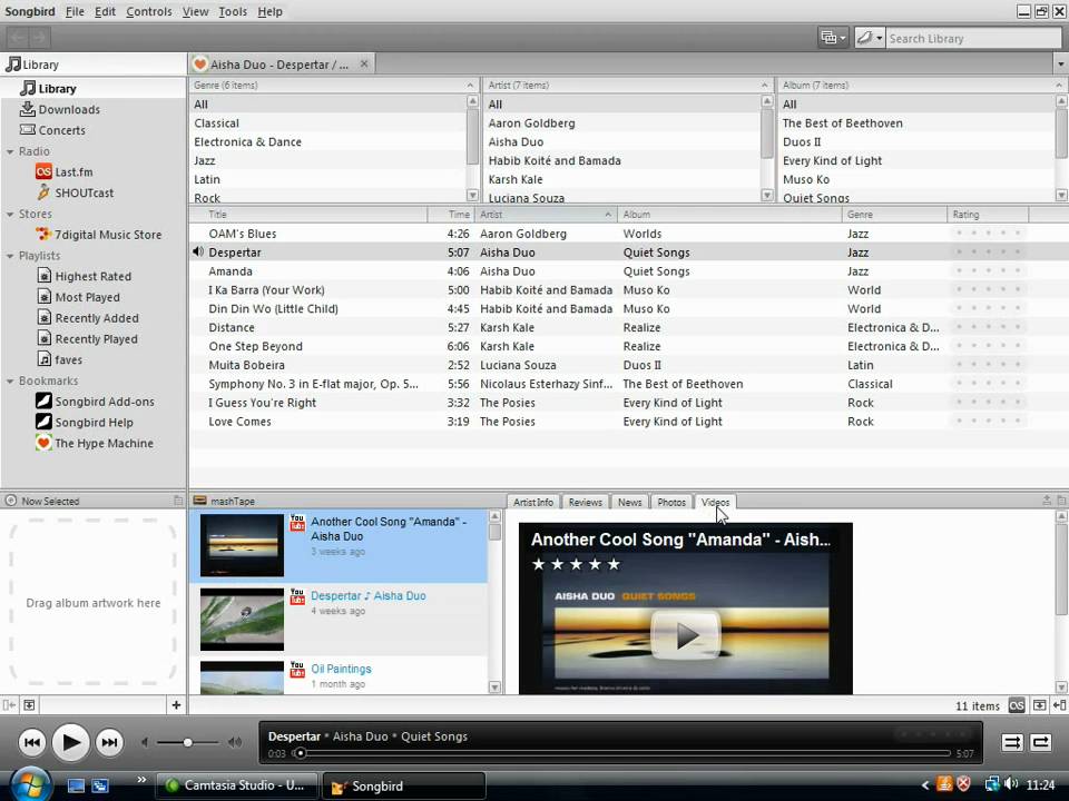 Manage your music in Songbird