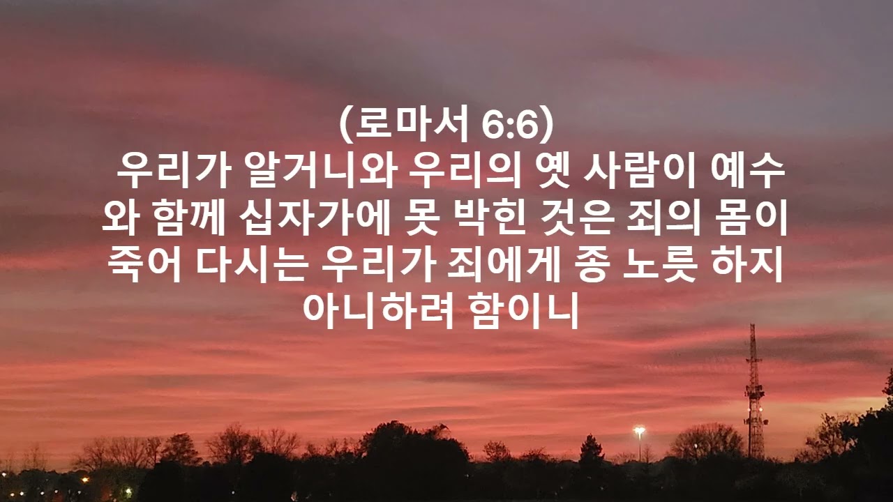 나에게주어진 특권(로마서 5:1, 6:1-5, 8:1) PK19