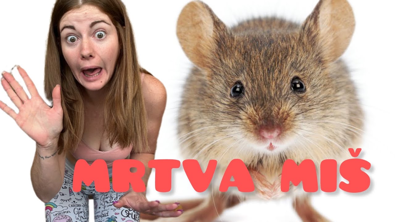 MRTVA MIŠ V KOPALNICI? 🐀 Vlogić24. #51     #vlog #slovenija #balkan