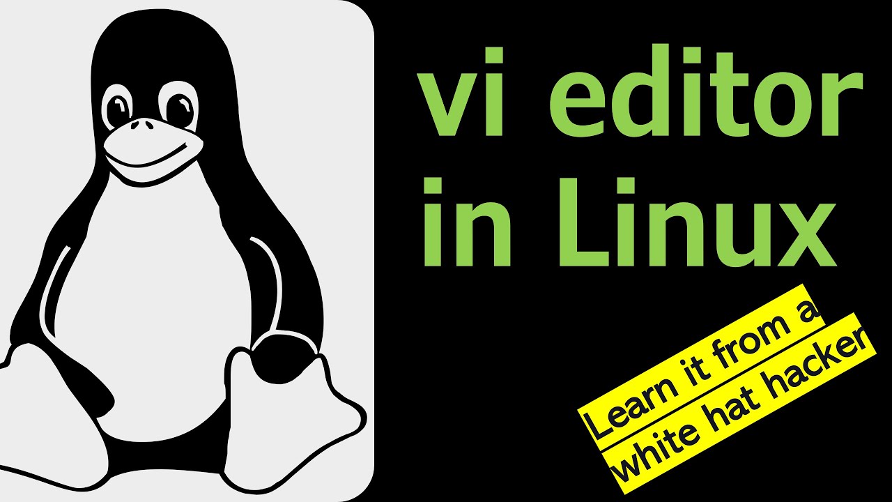 VI Editor - Learn the most important basic features