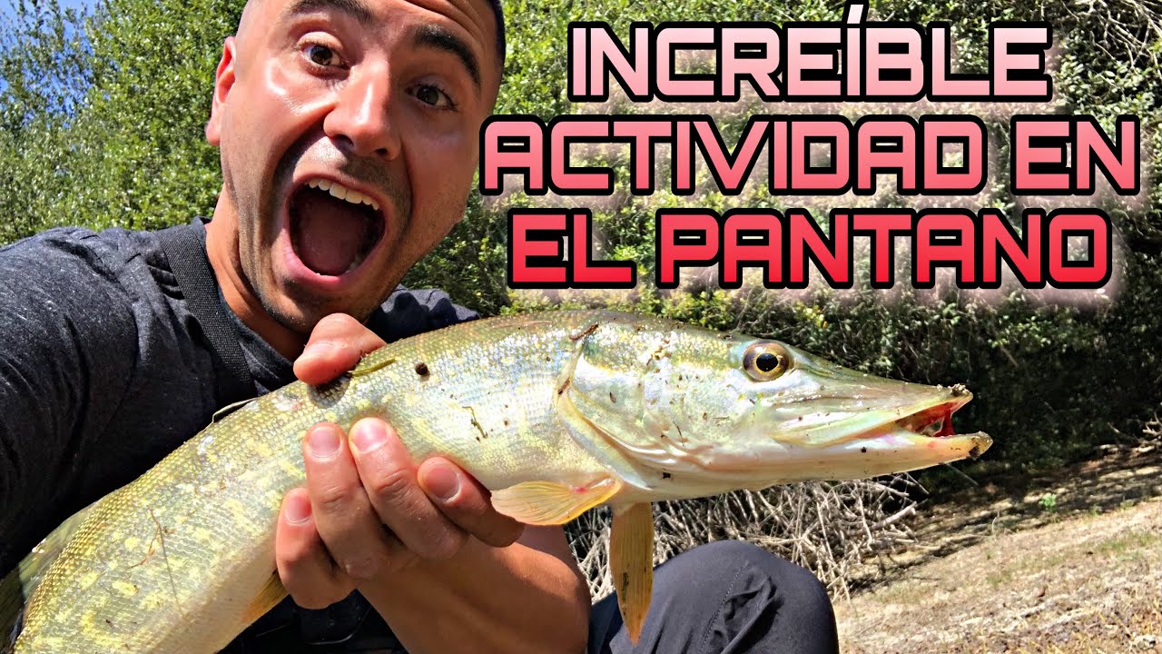 PESCANDO A LANCE LUCIOS Y PERCAS EN PANTANO