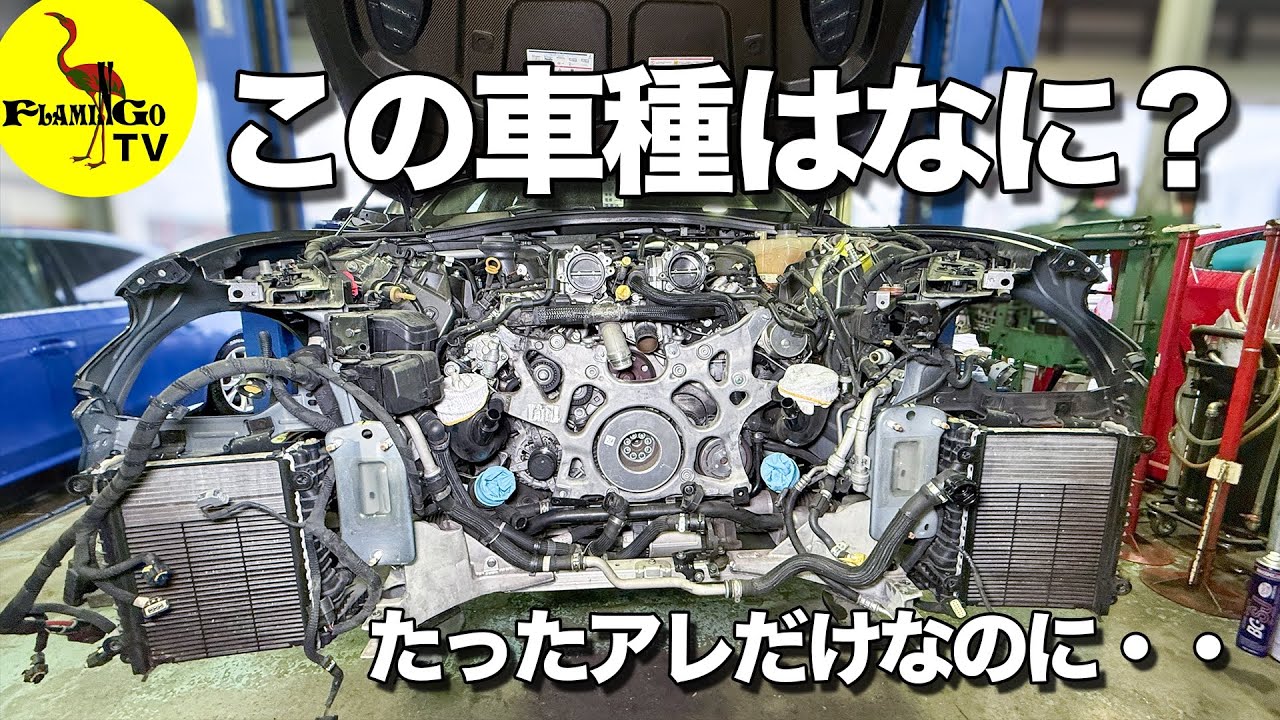 【驚愕の事実！】たったアレだけのために・・