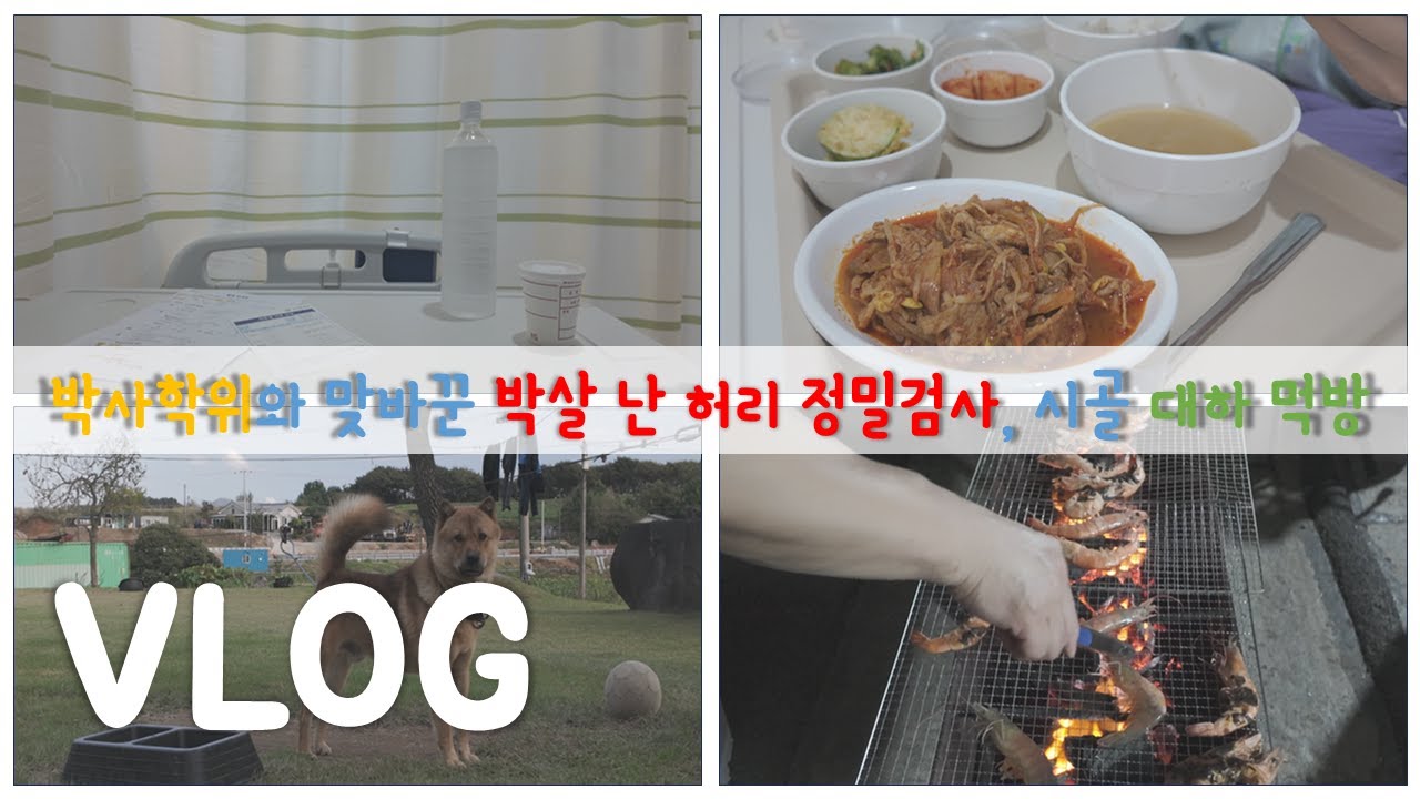 대학원 일상 vlog | 박사학위와 맞바꾼 박살 난 허리 정밀검사... 입원..., 대하 먹으러 시골 가기 | 기계공학과 박사 브이로그