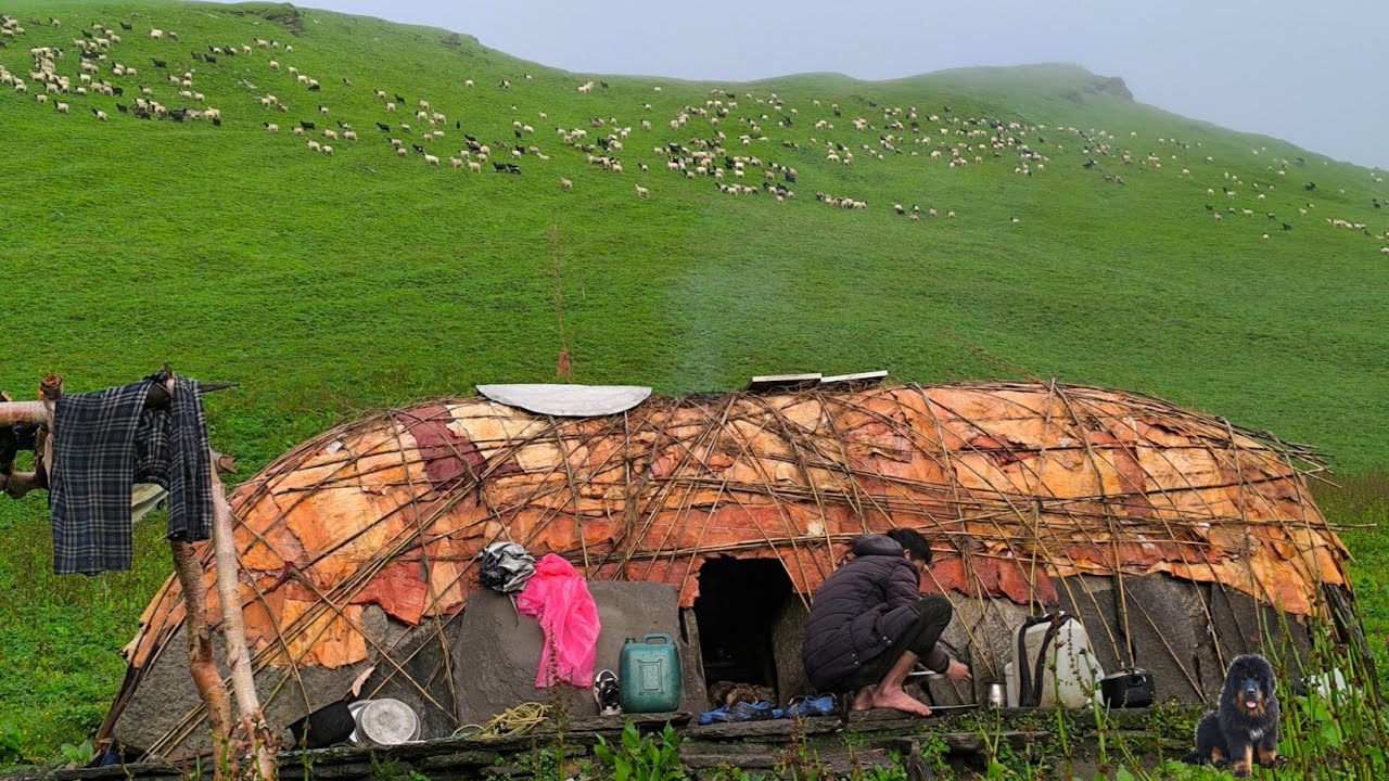 Himalayan Village Life||Rainy Day||Shephard Life In Winter||Mountain Village Life Compilation Video|