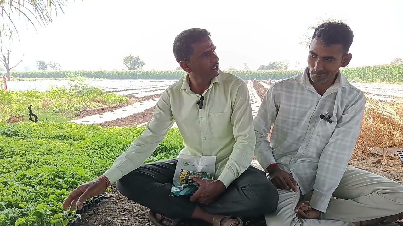 टरबूज लागवडीचा  व्हिडिओ पहिल्याच दिवशी दुसरा व्हिडिओ लवकरच येणार महाशिवरात्री  दिवशी लागवड केली 