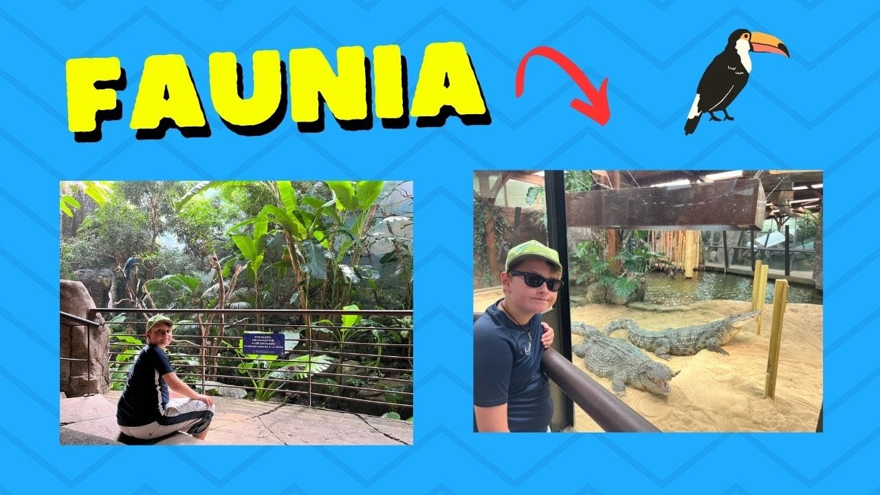 Un divertido día en FAUNIA
