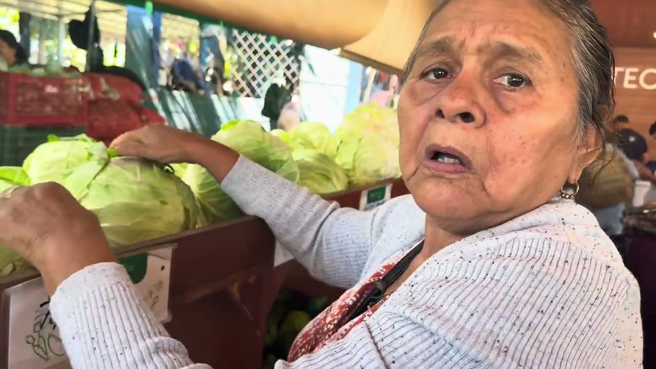 Cuales son los precios en un agro mercadeo en El Salvador vean