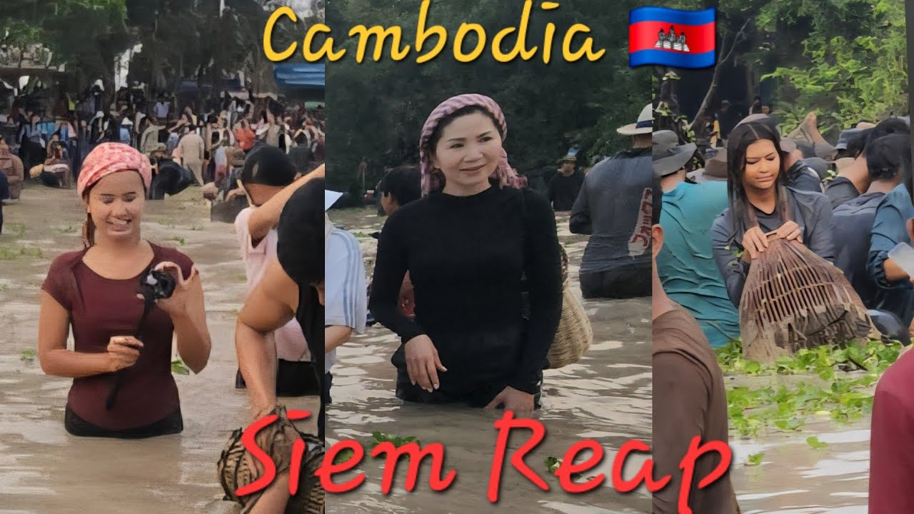 កម្មវិធីចាប់ត្រីសាមគ្គីនៅសៀមរាបថ្ងៃនេះ February 8, 2026 | Fish catching program in Siem Reap today