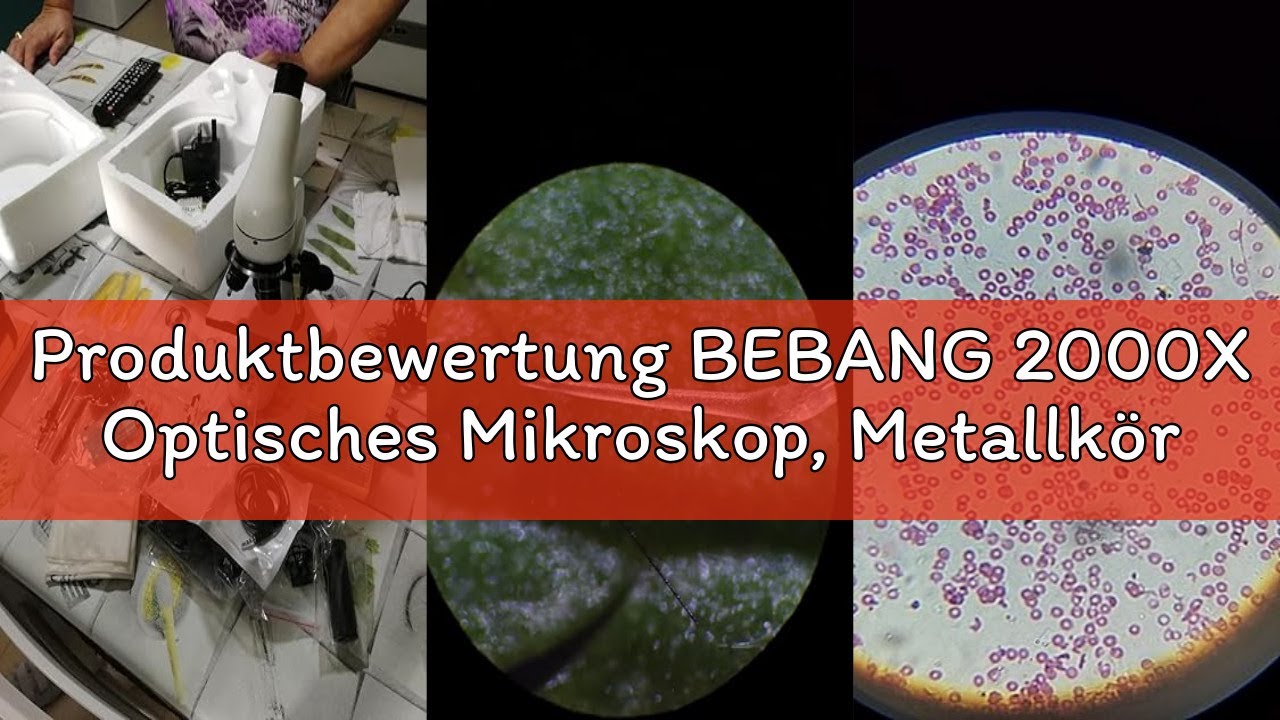 Produktbewertung BEBANG 2000X Optisches Mikroskop, Metallkörper, 2 WF-Okulare, Dual-Luminator-System