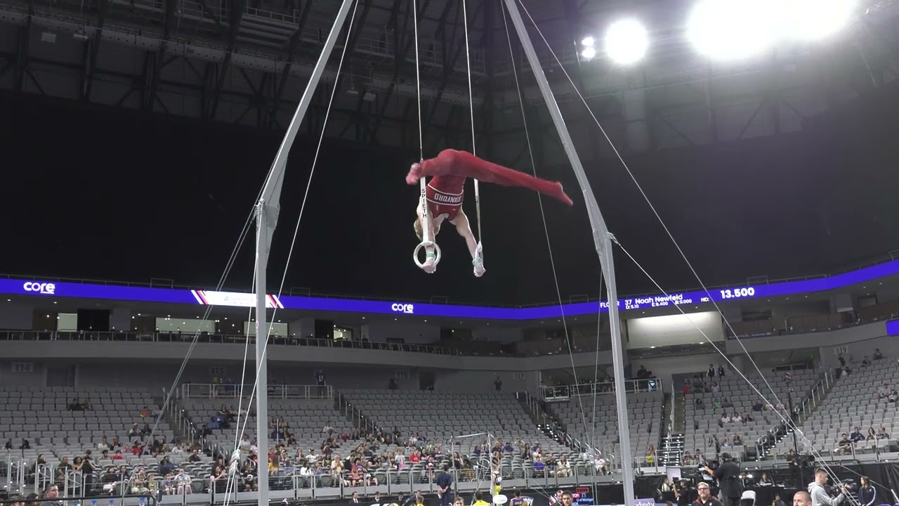 Riley Loos  - Still Rings -  2024 Xfinity U.S. Championships   Senior Men Day 2