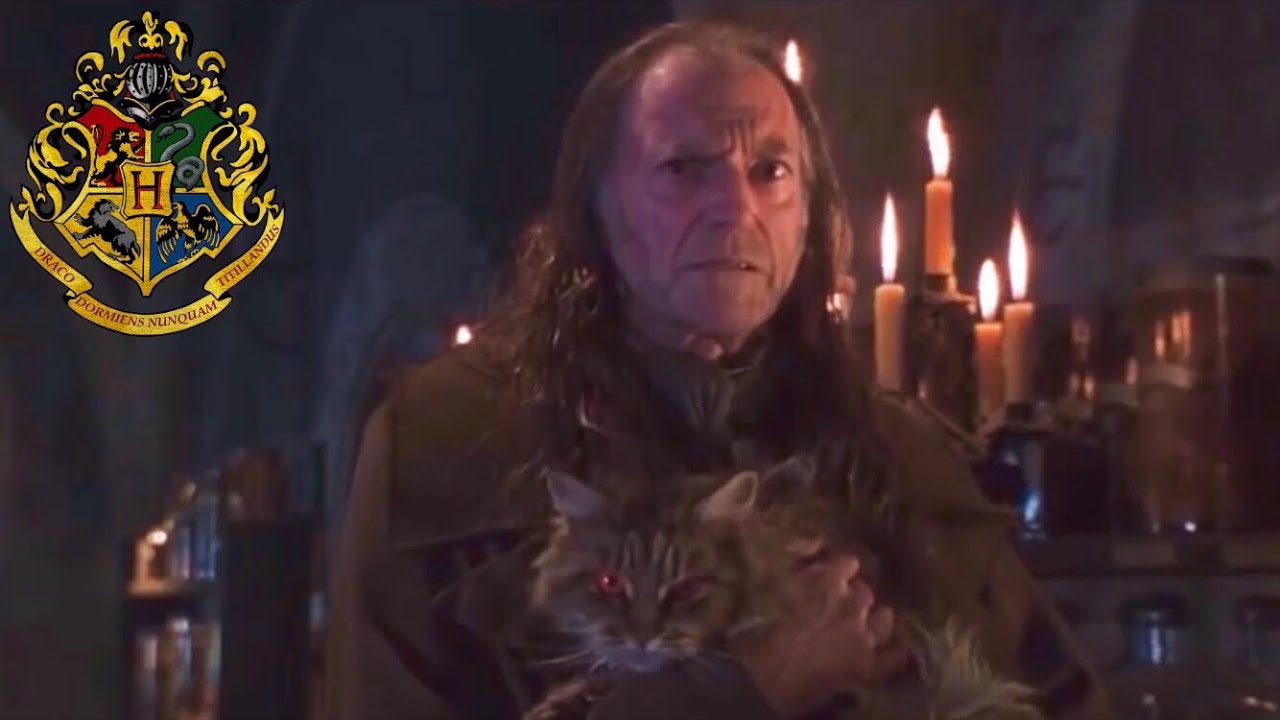 Harry Potter: &ldquo;Harry Sees Filch's Kwikspell&rdquo; (Deleted / Extended Scenes)