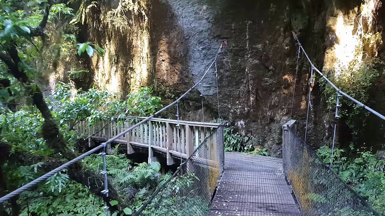 Mangapohue Natural Bridge Walk