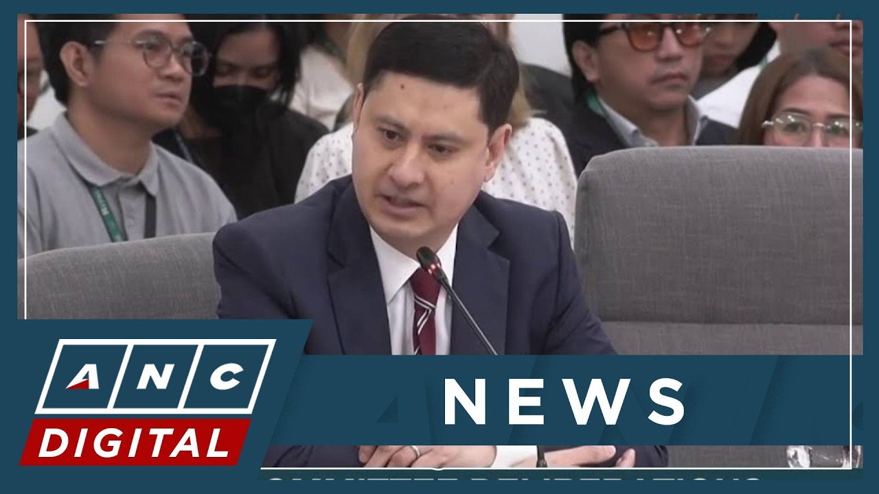 Defensor: 'Irrelevant, illogical statements made in defense of VP has no point' | ANC