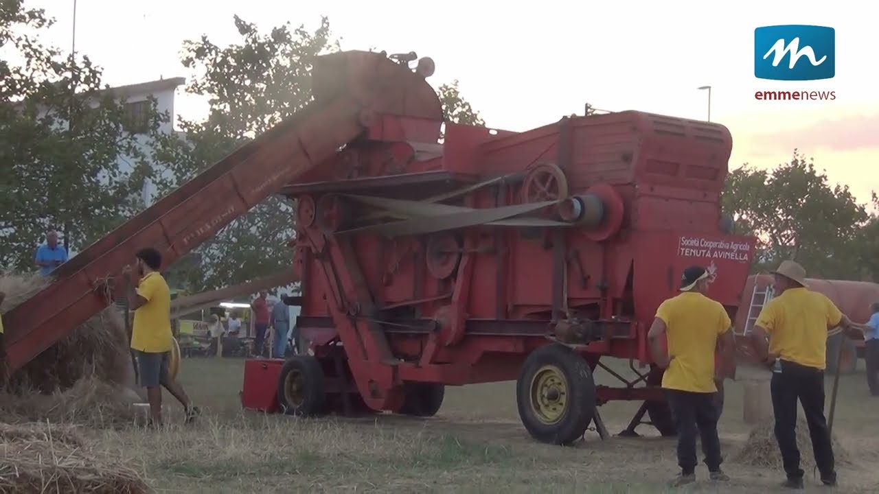 A Bernalda la festa della Trebbiatura Antica