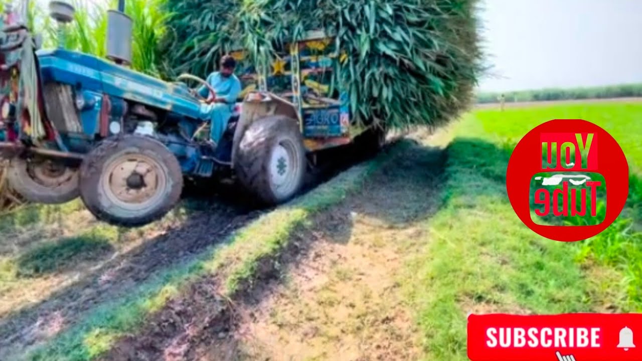 MF 260 Tractor Price 2026 | Millat Massey Ferguson Specifications🚜🏆