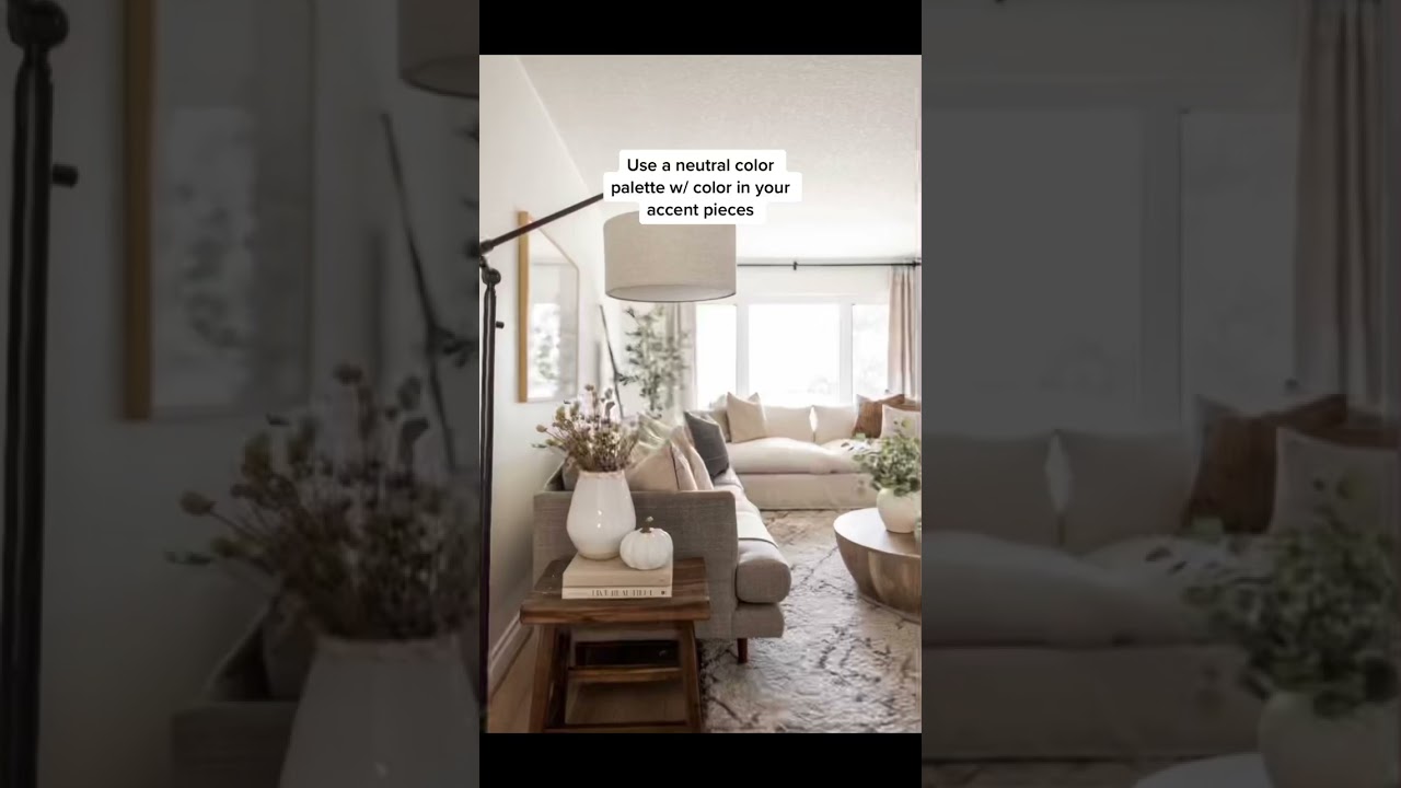 Transitional + Organic Modern Interior Design TIPS & INSPO for APARTMENTS & smaller homes! 🏙🏠🤩 Go