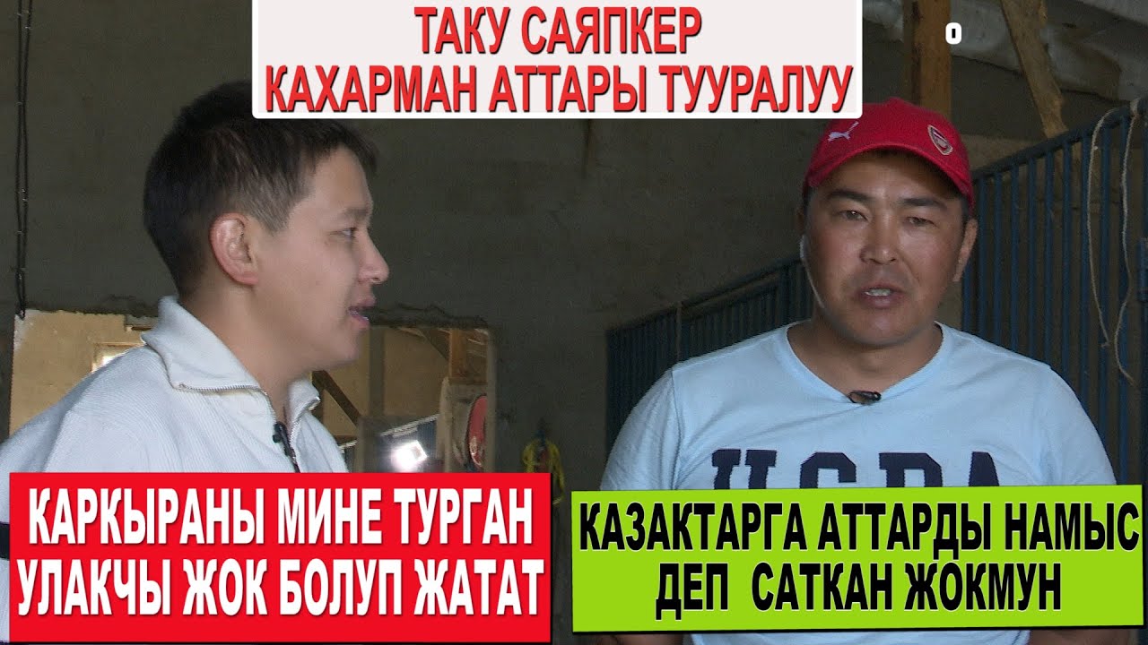 КАЗАКТАРГА АТТАРЫН САТПАГАН ТАТУ САЯПКЕР/ КАХАРМАНДЫН БАЛДАРЫНЫН БААСЫ КАНЧА?/ КАРКЫРА ОЮНГА ДАЯР