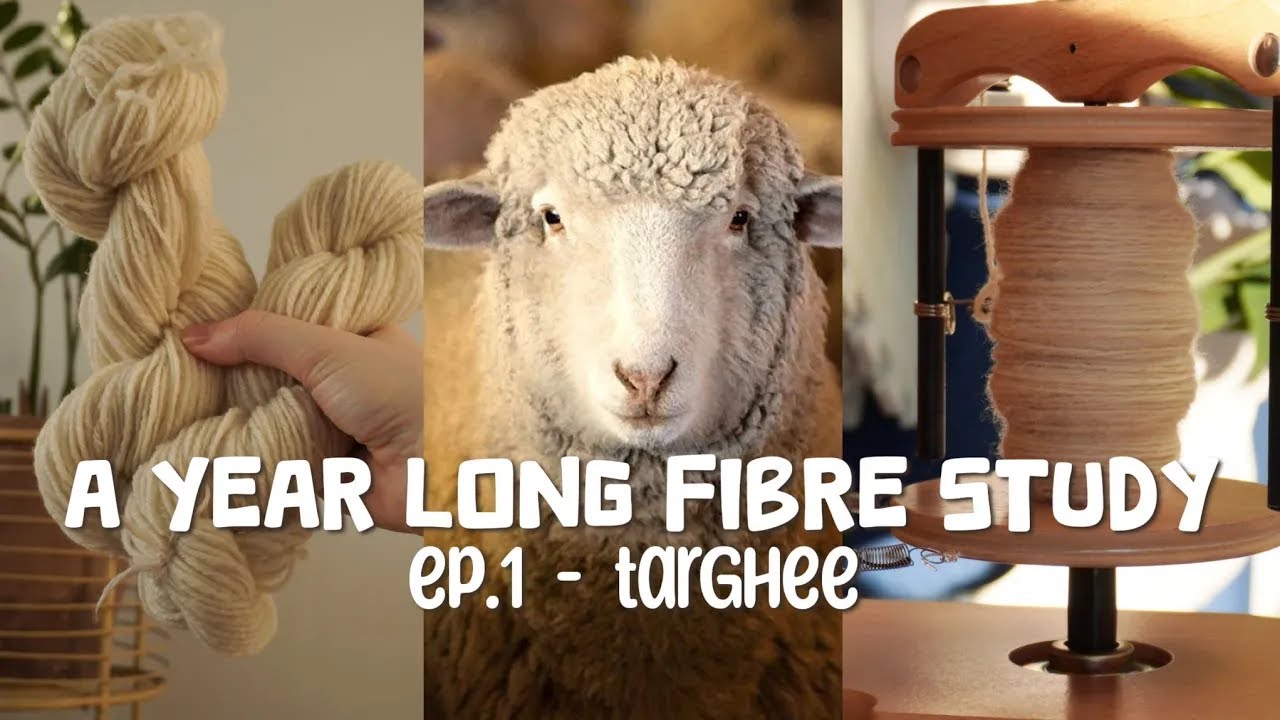 Spinning Targhee Wool 🐑12 Months of Wool Ep. 1🌿✨ (Long Way Homestead)