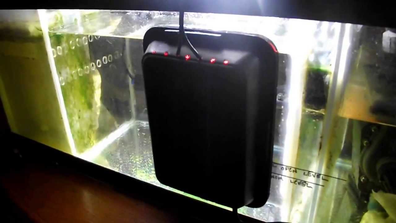 DIY Upflow Algae Scrubber
