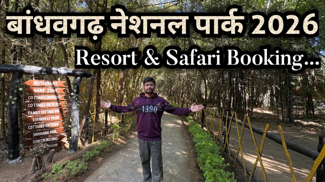 Bandhavgarh National Park Trip plan | mogli Resort Tour | Bandhavgarh tiger safari booking & Guide