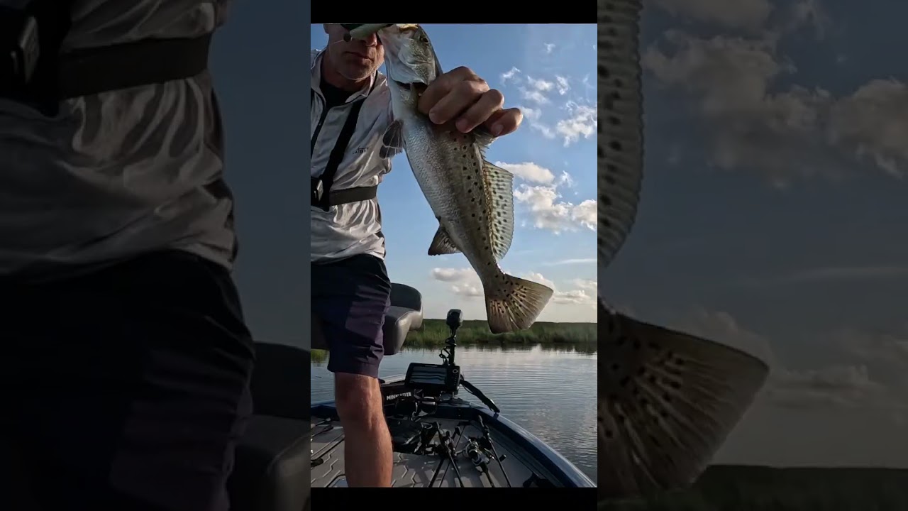 Fish are Way Back in the Marsh!